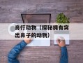 鼻行动物（探秘拥有突出鼻子的动物）