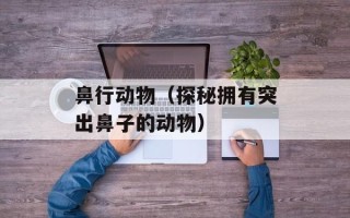 鼻行动物（探秘拥有突出鼻子的动物）