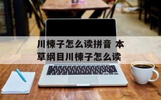 川楝子怎么读拼音 本草纲目川楝子怎么读