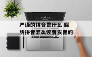 严谨的拼音是什么 朦胧拼音怎么读音发音的