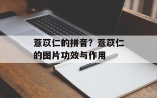 薏苡仁的拼音？薏苡仁的图片功效与作用