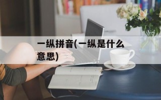 一纵拼音(一纵是什么意思)