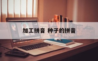加工拼音 种子的拼音