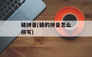 骚拼音(骚的拼音怎么拼写)