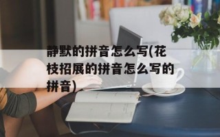 静默的拼音怎么写(花枝招展的拼音怎么写的拼音)