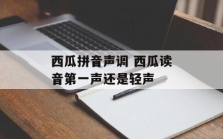 西瓜拼音声调 西瓜读音第一声还是轻声