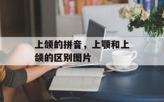 上颌的拼音，上颚和上颌的区别图片