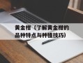 黄金柑（了解黄金柑的品种特点与种植技巧）