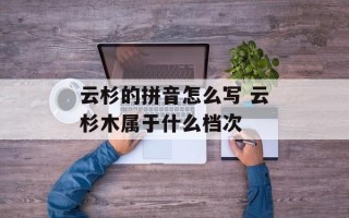 云杉的拼音怎么写 云杉木属于什么档次