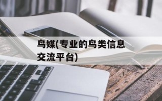 鸟媒(专业的鸟类信息交流平台)