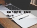 黄鱼力荐欧美，黄鱼视频力荐