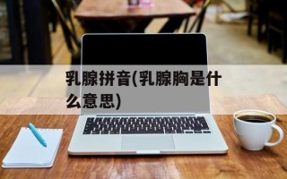 乳腺拼音(乳腺胸是什么意思)