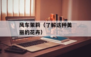 风车茉莉（了解这种美丽的花卉）