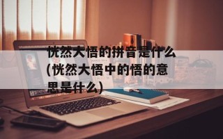 恍然大悟的拼音是什么(恍然大悟中的悟的意思是什么)