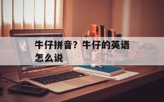 牛仔拼音？牛仔的英语怎么说