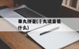 睾丸拼音(睪丸读音是什么)