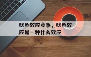 鲶鱼效应竞争，鲶鱼效应是一种什么效应
