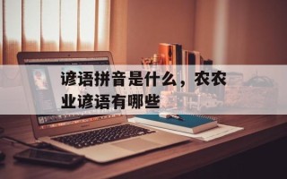 谚语拼音是什么，农农业谚语有哪些