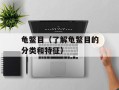 龟鳖目（了解龟鳖目的分类和特征）