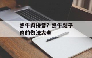 熟牛肉拼音？熟牛腱子肉的做法大全
