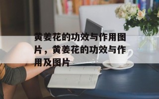 黄姜花的功效与作用图片，黄姜花的功效与作用及图片