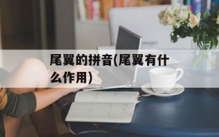尾翼的拼音(尾翼有什么作用)