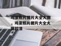鸡蛋照片图片大全大图，鸡蛋照片图片大全大图超清