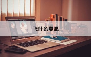 飞什么意思