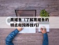 黑裙鱼（了解黑裙鱼的特点和饲养技巧）