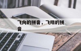 飞向的拼音，飞翔的拼音