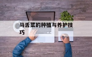 马舌菜的种植与养护技巧