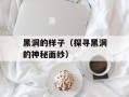 黑洞的样子（探寻黑洞的神秘面纱）