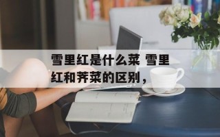 雪里红是什么菜 雪里红和荠菜的区别，