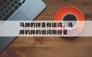 马蹄的拼音和组词，马蹄的蹄的组词和拼音