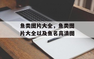 鱼类图片大全，鱼类图片大全以及鱼名高清图
