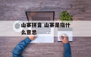 山寨拼音 山寨是指什么意思