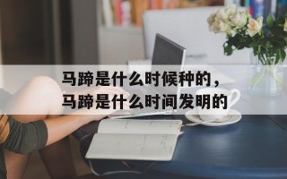马蹄是什么时候种的，马蹄是什么时间发明的