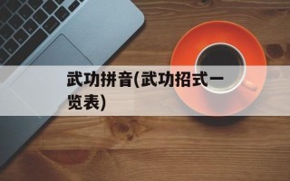 武功拼音(武功招式一览表)