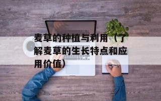 麦草的种植与利用（了解麦草的生长特点和应用价值）