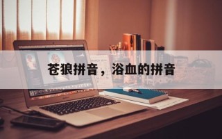 苍狼拼音，浴血的拼音