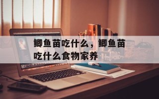 鲫鱼苗吃什么，鲫鱼苗吃什么食物家养