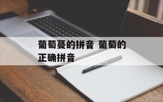 葡萄蔓的拼音 葡萄的正确拼音