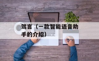驾言（一款智能语音助手的介绍）