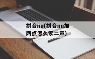 拼音nu(拼音nu加两点怎么读二声)