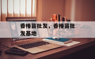 香椿苗批发，香椿苗批发基地