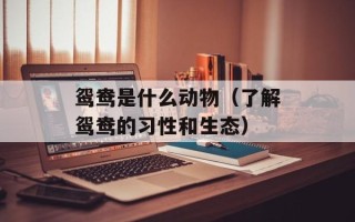 鸳鸯是什么动物（了解鸳鸯的习性和生态）