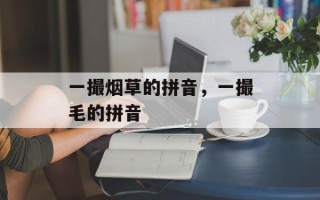 一撮烟草的拼音，一撮毛的拼音