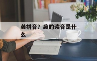袭拼音？袭的读音是什么