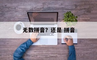 无数拼音？还是 拼音
