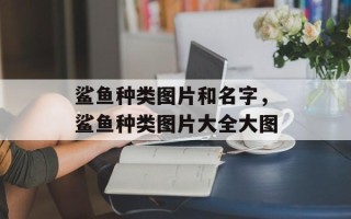 鲨鱼种类图片和名字，鲨鱼种类图片大全大图